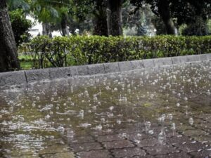 الحرارة تميل للارتفاع في بعض المناطق وهطولات مطرية على الساحل