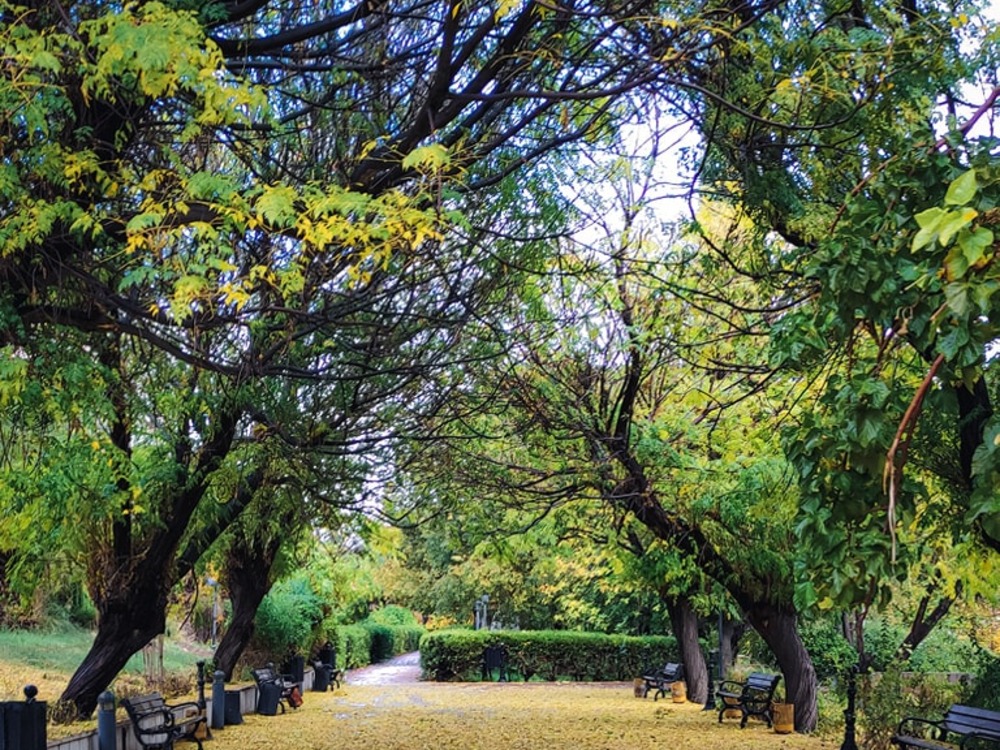 الجو بين الصحو والغائم جزئياً.. ودرجات الحرارة أدنى من معدلاتها