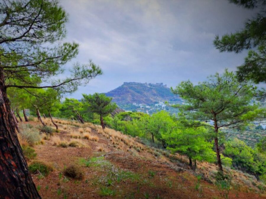 أجواء شتوية باردة ومستقرة ومنخفض جوي قادم اعتباراً من الجمعة