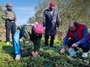 طيران زراعي تابع للاحتلال الإسرائيلي يرش موادّ مجهولة فوق الأراضي في ريف القنيطرة