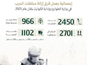 الدفاع المدني: فرقنا نفّذت 2450 عملية إزالة لمخلفات الحرب خلال العام الفائت