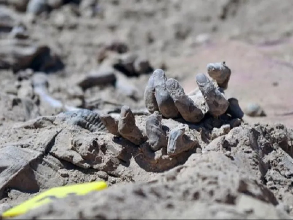 الهيئة الوطنية للمفقودين تحذّر سكان مناطق شمال شرق سوريا بشأن المقابر الجماعية