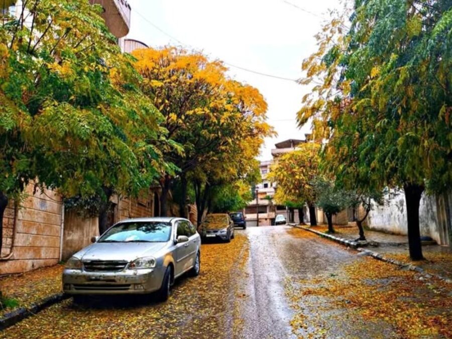 هطولات مطرية في أغلب المناطق وانخفاض ملموس في درجات الحرارة