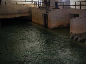 ارتفاع غزارة نبع الفيجة وتحسن التزويد المائي في دمشق وريفها