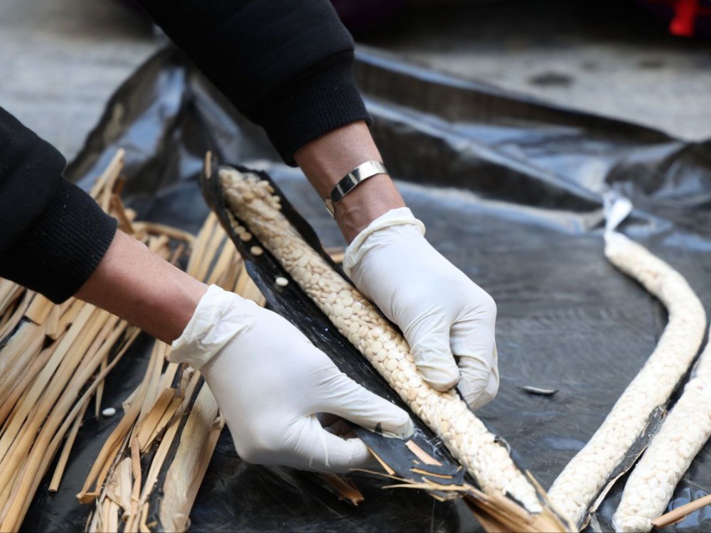 مكافحة المخدرات تحبط محاولة تهريب كمية كبيرة من الكبتاغون إلى السعودية