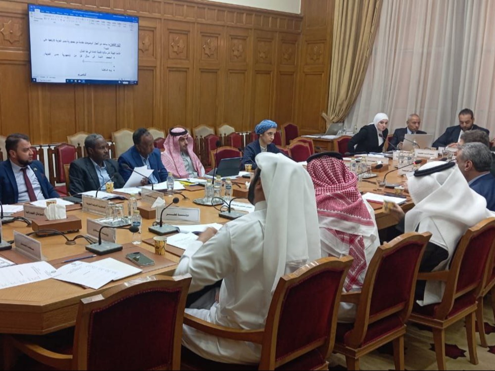 وزارة النقل تشارك في مناقشات قانون النقل السككي في الدول العربية