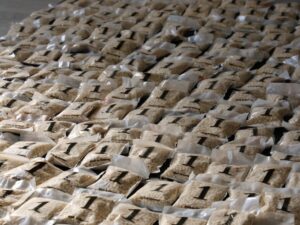 الداخلية: إحباط محاولة تهريب مخدرات وتوقيف مطلوبين دولياً في حمص