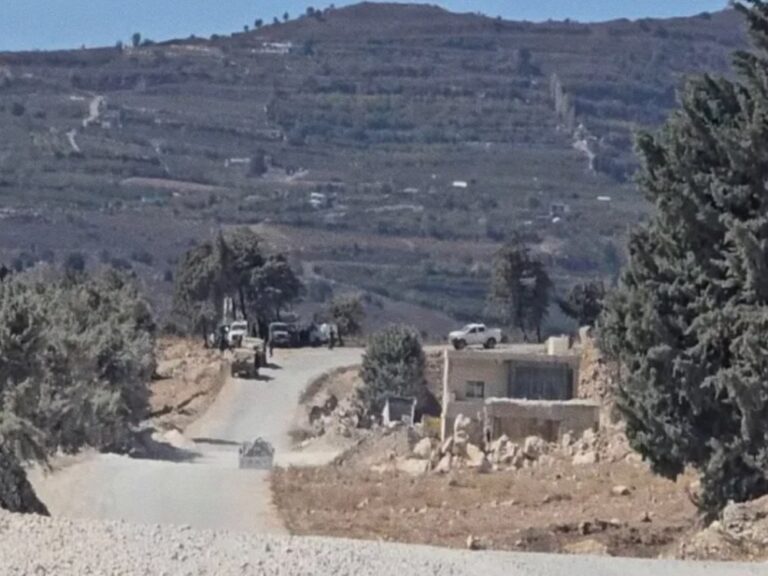 قوات الاحتلال الإسرائيلي تعتدي على طفلين وتسرق رأساً من الأغنام بريف القنيطرة