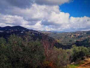 الجو بين الغائم والماطر ودرجات الحرارة حول معدلاتها في معظم المناطق