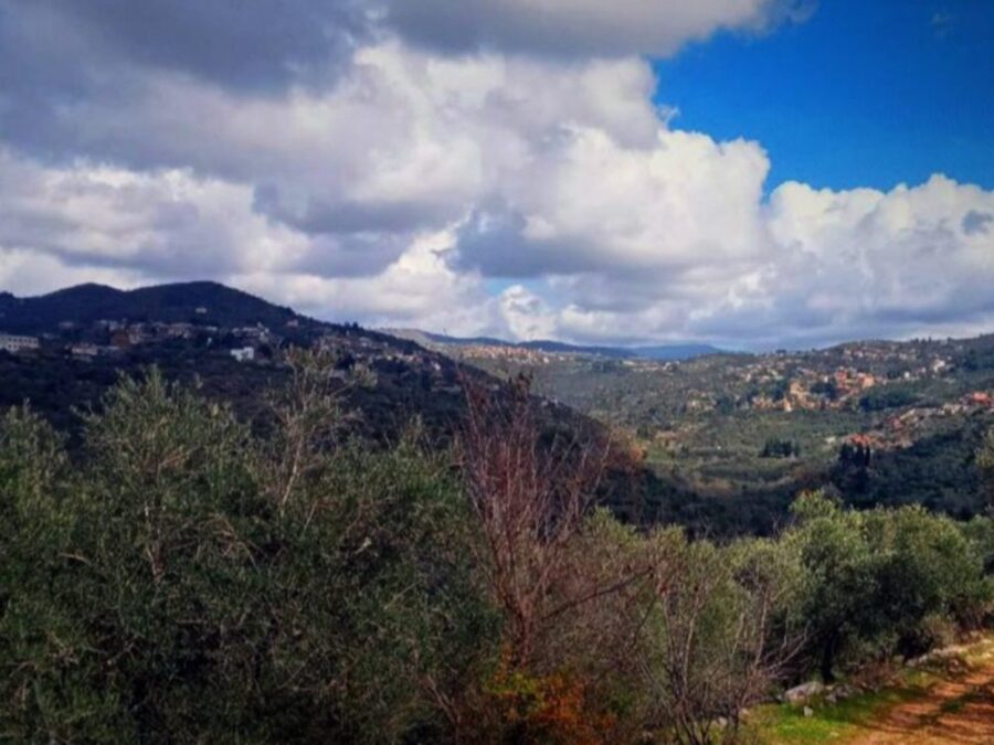 الجو بين الغائم والماطر ودرجات الحرارة حول معدلاتها في معظم المناطق