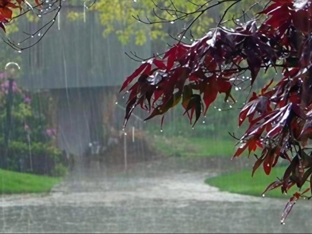 هطولات مطرية غزيرة وعواصف رعدية وتحذيرات من السيول