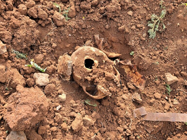 العثور على مقبرة جماعية في محيط تل غرابة شمالي درعا