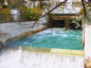 مؤسسة مياه دمشق وريفها: منسوب حوض دمشق تجاوز المعدل السنوي بنسبة 110%