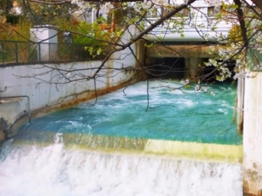 مؤسسة مياه دمشق وريفها: منسوب حوض دمشق تجاوز المعدل السنوي بنسبة 110%