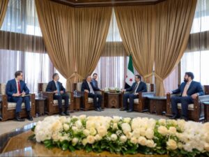 الشيباني يبحث مع السفير التركي في دمشق التطورات الإقليمية