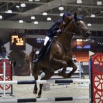 اختتام بطولة دمشق الدولية الأولى لفروسية قفز الحواجز بتأهل ثلاثة فرسان إلى قطر