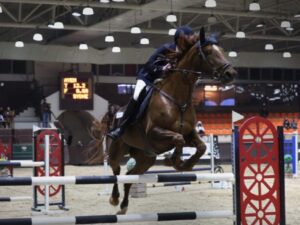 اختتام بطولة دمشق الدولية الأولى لفروسية قفز الحواجز بتأهل ثلاثة فرسان إلى قطر