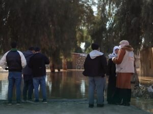 الحسكة.. الشؤون الاجتماعية تستنفر الجهود لتقديم المساعدات للمتضررين من فيضانات الخابور