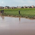 الحسكة.. وفاة طفل غرقاً في نهر جغجغ وفرق الإنقاذ تواصل البحث عن جثته