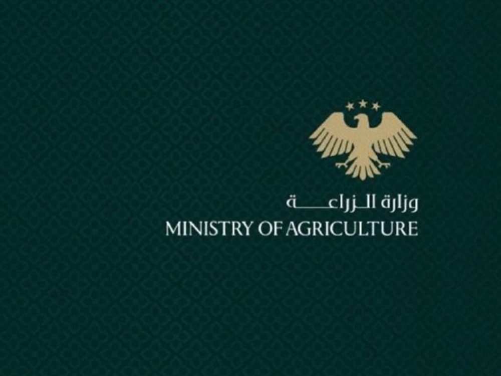 الزراعة تطلق المنصة الوطنية للهطولات المطرية "غياث"