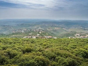 الجيش الإسرائيلي ينذر سكان جنوب لبنان بالإخلاء والتوجّه شمال الليطاني