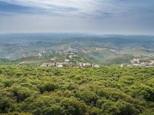 إسرائيل توعز للجيش بالتقدم في جنوب لبنان للسيطرة على مواقع جديدة