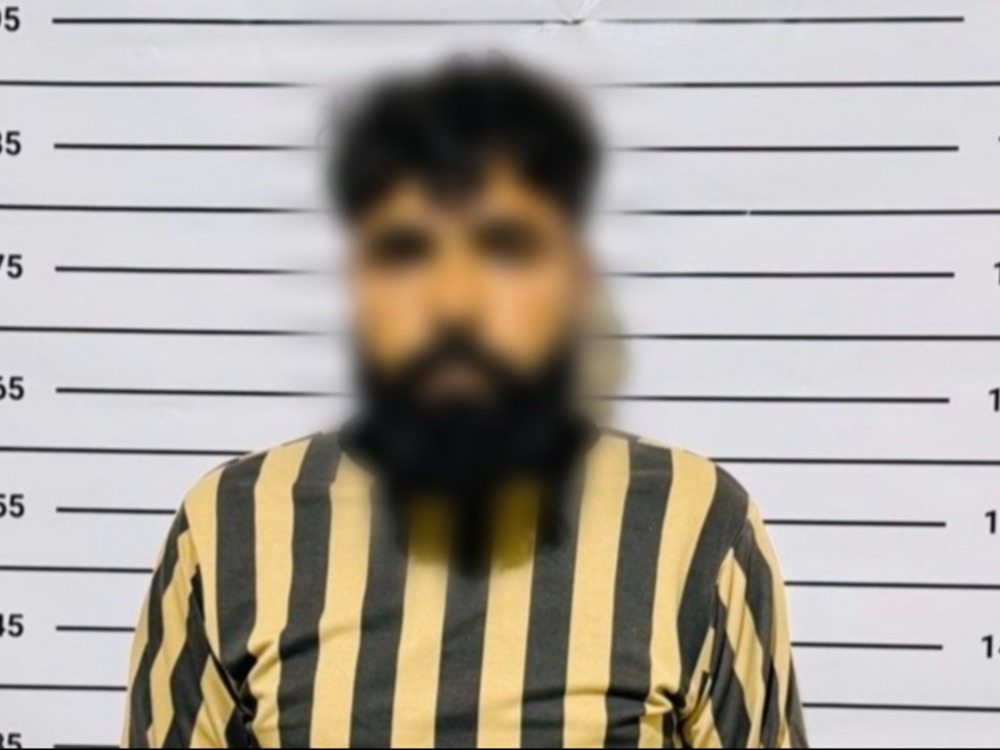 الداخلية تعلن القبض على المتورط بالإساءة للعلم الوطني خلال احتفالات عيد النوروز