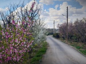 الطقس بين الصحو والغائم في عموم البلاد.. ودرجات الحرارة حول معدلاتها أو أدنى بقليل