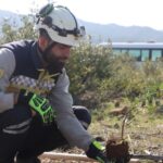 فرق الدفاع المدني تستكمل أعمال تشجير الغابات المتضررة بالحرائق في ريف اللاذقية