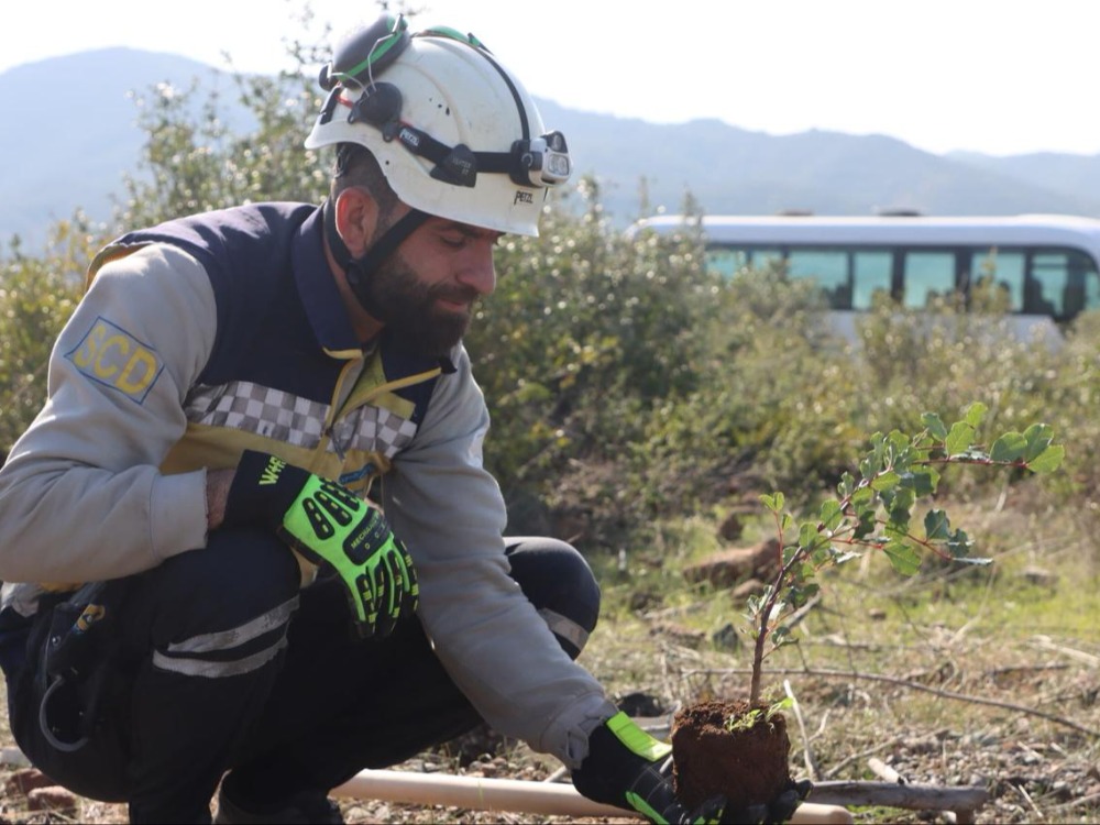 فرق الدفاع المدني تستكمل أعمال تشجير الغابات المتضررة بالحرائق في ريف اللاذقية