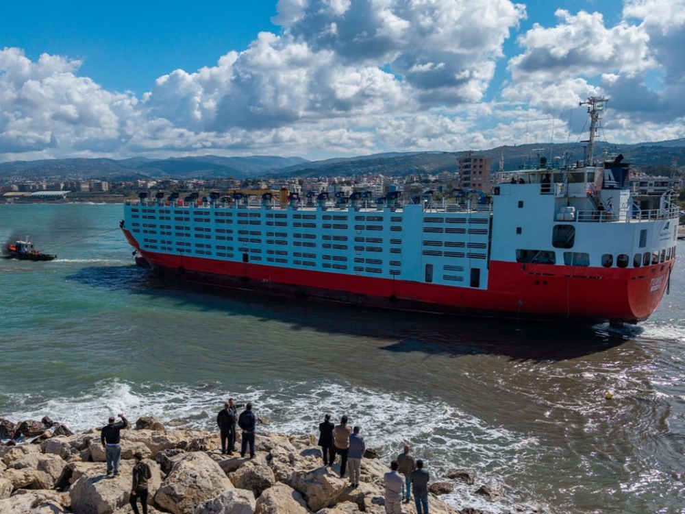 بعد تحويلها محلياً.. المنافذ والجمارك تعلن انطلاق باخرة لنقل المواشي من مرفأ بانياس