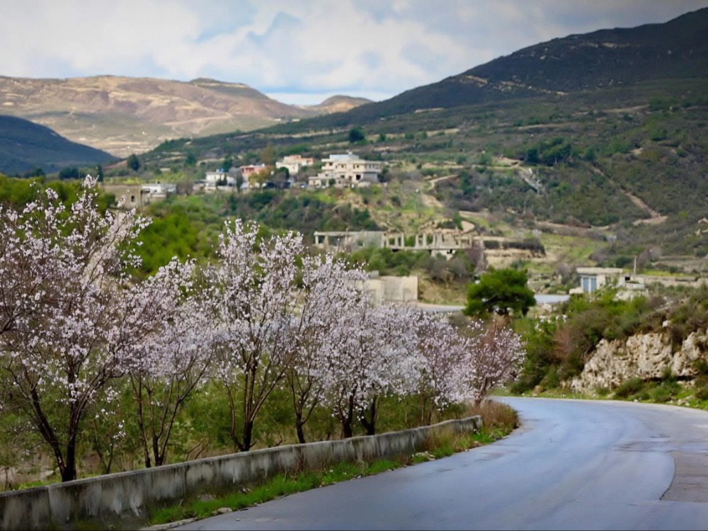 أجواء غائمة جزئياً على عموم البلاد ومنخفض رابع يوم الأحد