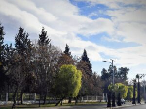 الأرصاد الجوية تحذر من موجة صقيع ودرجات الحرارة أعلى من معدلاتها بقليل