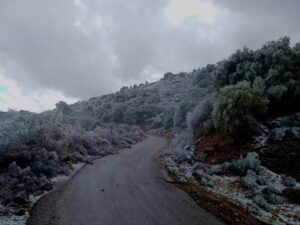 انحسار تأثير المنخفض الثالث.. ومنخفض جديد يوم الأحد