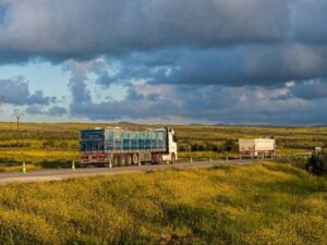 وصول 210 أطنان من الطحين المدعوم إلى السويداء