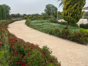 طقس مستقر اليوم وحالة عدم استقرار جوي يومي الجمعة والسبت