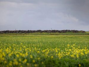 حالة من عدم الاستقرار في عموم البلاد.. ومنخفض جوي جديد يبدأ غداً