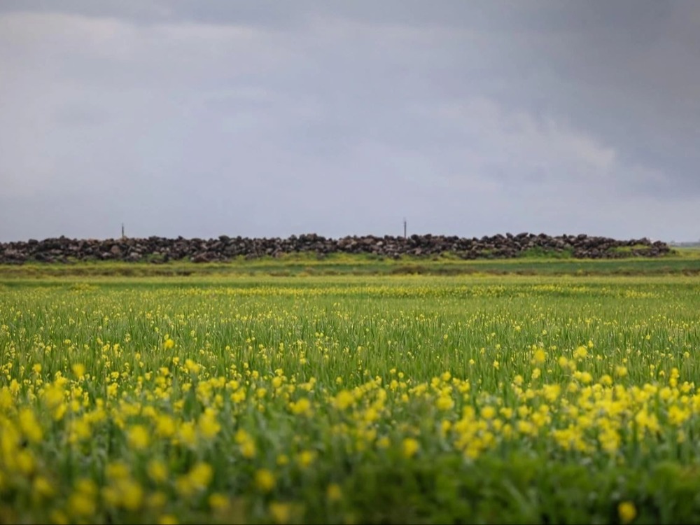 حالة من عدم الاستقرار في عموم البلاد.. ومنخفض جوي جديد يبدأ غداً