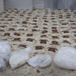 وزارة الداخلية توقف شخصين وتضبط بحوزتهما كميات ضخمة من المخدرات بريف دمشق