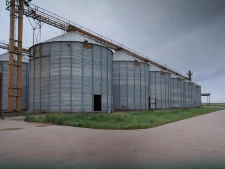 محافظة الحسكة تبدأ تأهيل الصوامع استعداداً لاستقبال موسم القمح لهذا العام