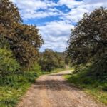 حالة من عدم الاستقرار الجوي تبدأ ظهر اليوم وتستمر حتى فجر الثلاثاء