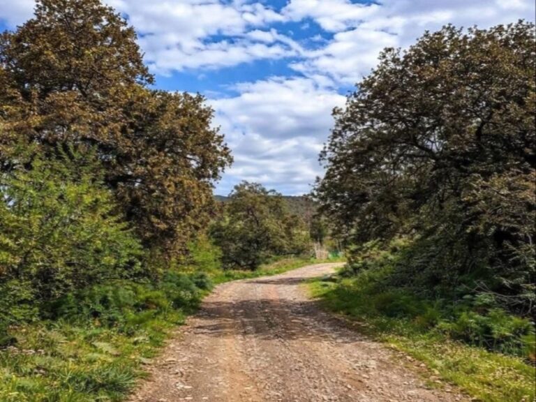 حالة من عدم الاستقرار الجوي تبدأ ظهر اليوم وتستمر حتى فجر الثلاثاء