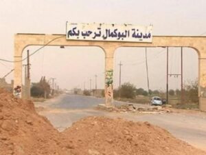 ضبط شحنة أسماك مخالفة بدير الزور قادمة من العراق