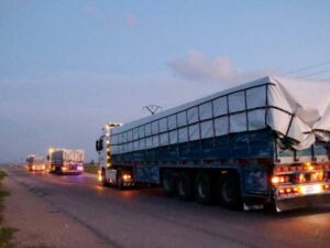 بتوجيه من المحافظ.. دخول الطحين المدعوم إلى السويداء وبيعه بالسعر الرسمي