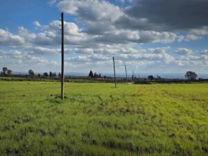 هطولات مطرية في مناطق متفرقة.. وانحسار تأثير المنخفض مساء