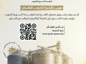 السورية للحبوب تدعو المزارعين للتسجيل الإلكتروني لتسويق القمح