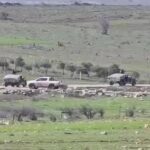 توغل جديد لقوات الاحتلال في وادي الرقاد بريف درعا الغربي