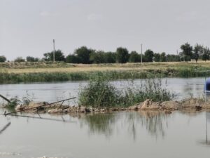 منطقة منبج تحذر الأهالي من السباحة في نهر الفرات