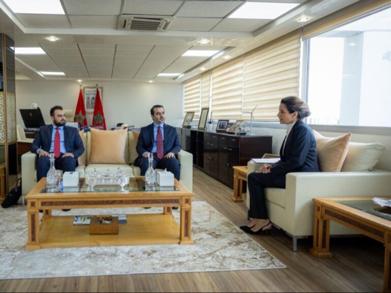الشيباني يبحث مع وزيرة الانتقال الطاقي في المغرب التعاون الثنائي وتبادل الخبرات