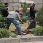 ريف حلب.. انطلاق حملة تشجير بعنوان "الأخضر يجمعنا" في منبج